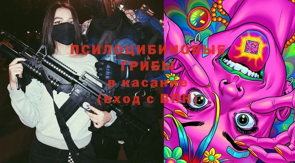 тгк Кодинск