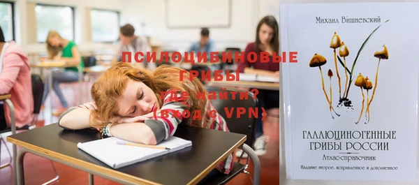 тгк Кодинск