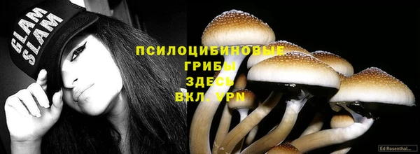 кокс Козловка