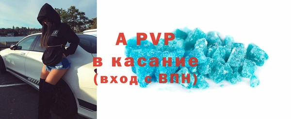 твердый Козельск