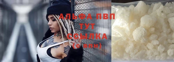 твердый Козельск