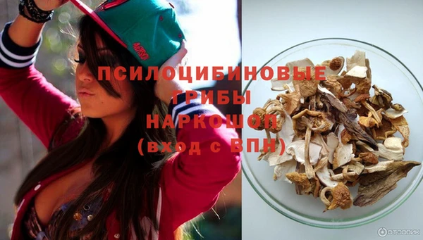 кокс Козловка