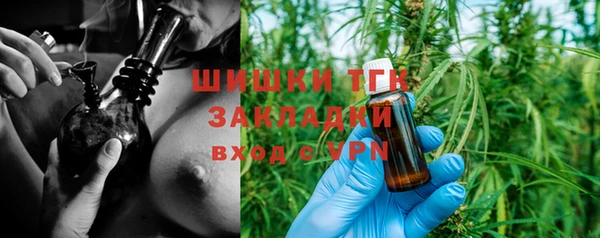 твердый Козельск