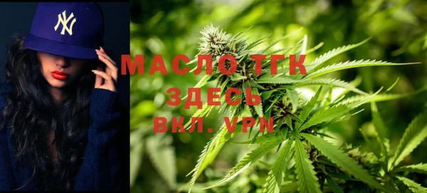 твердый Козельск