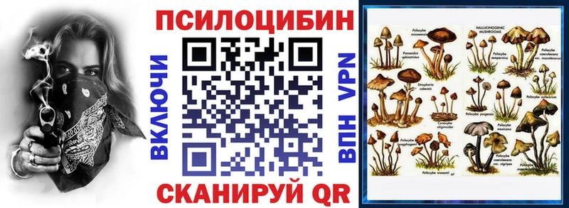 Купить закладки  Райчихинск  Псилоцибиновые грибы Magic Shrooms 